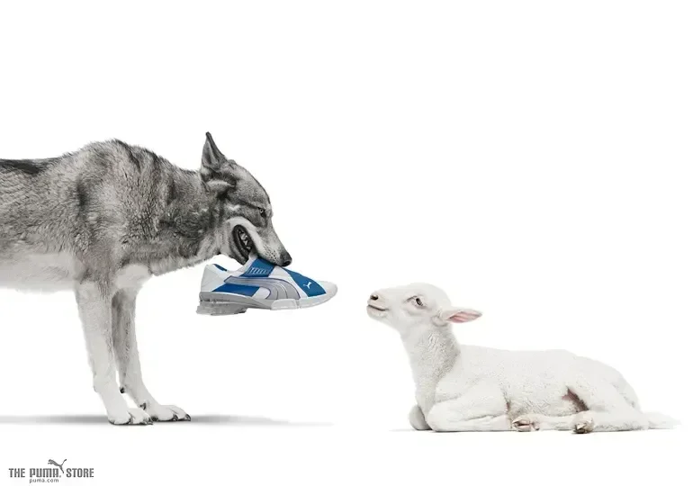 Puma - фото 32