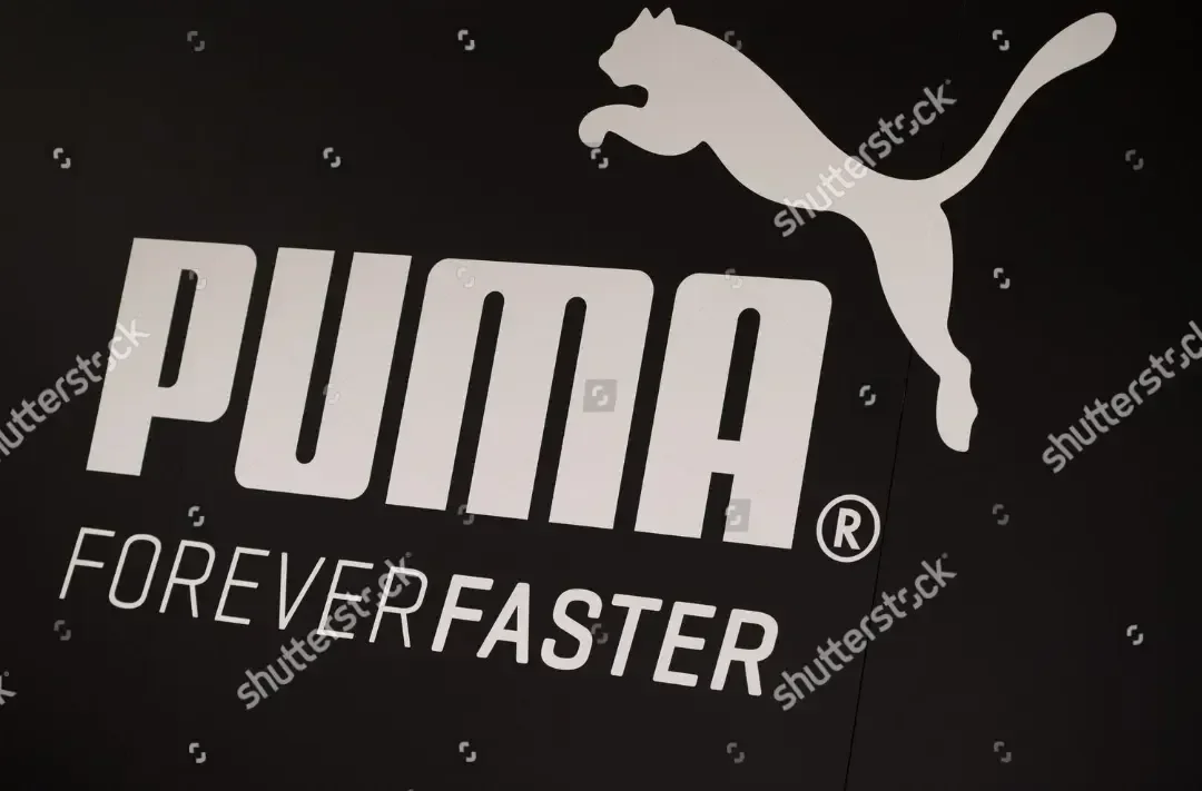 Puma - фото 33